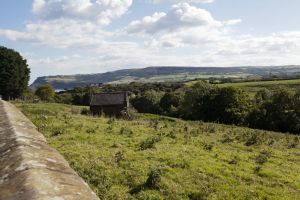 gorgeous cottages Vale View 57 sm.jpg